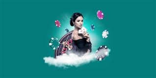 okbaje-তে স্লিম নেভিগেশন ও তুলনামূলক অভিজ্ঞতা